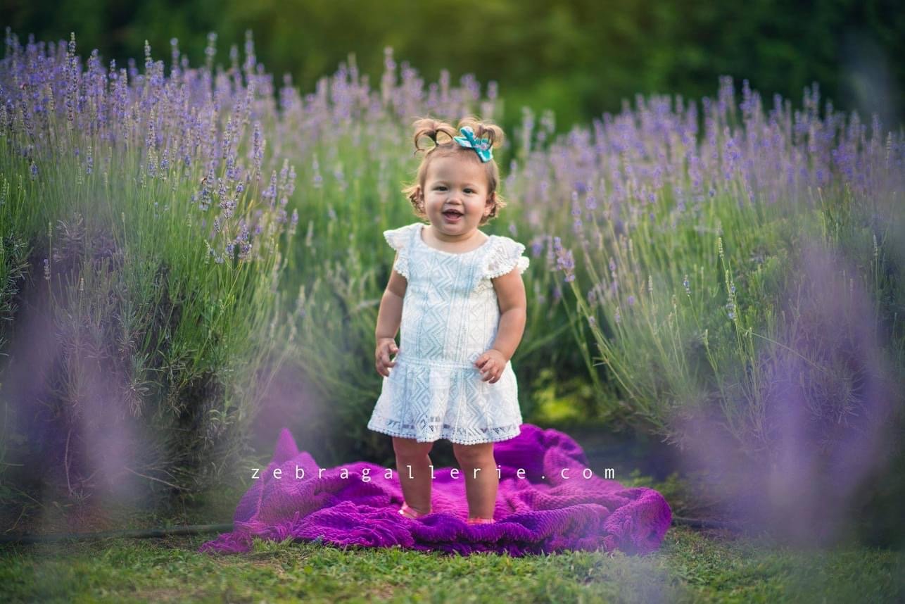child in lavender field