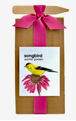 Seeds: Flowers & Lavender