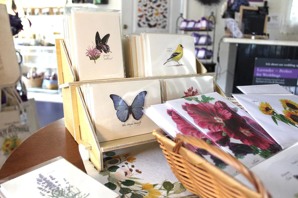 butterfly, birds, and flower cards being displayed
