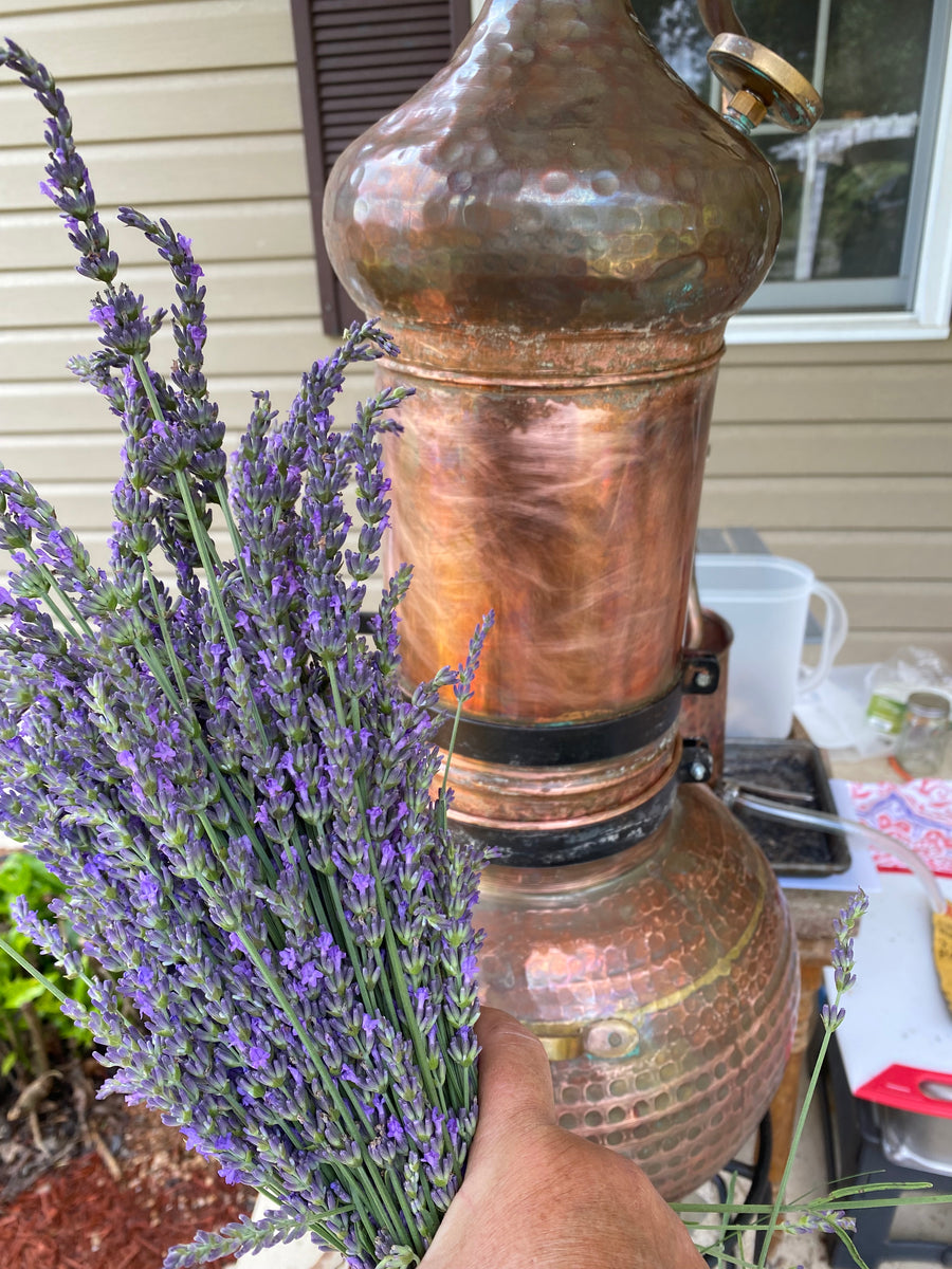 Lavender Distilling Workshop